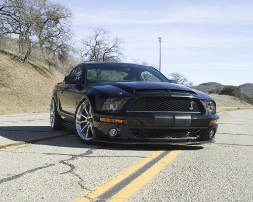 Knight Rider [Cast] Photo