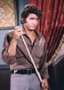 Landon, Michael [Bonanza]