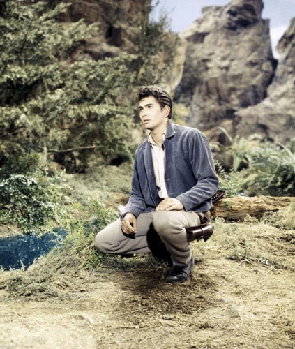 Landon, Michael [Bonanza] Photo