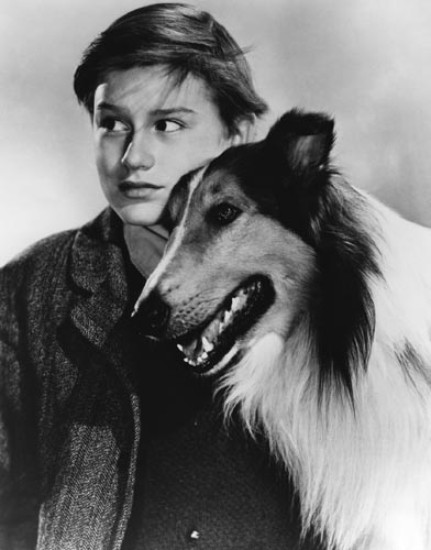 Lassie Come Home [Cast] Photo