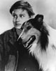 Lassie Come Home [Cast]