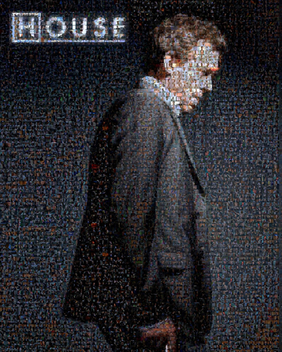 Laurie, Hugh [House] Photo