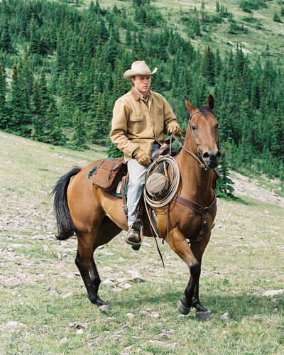 Ledger, Heath [Brokeback Mountain] Photo