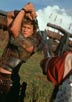 Ledger, Heath [Roar]