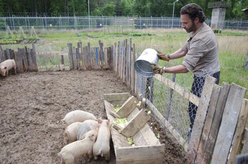 Lincoln, Andrew [The Walking Dead] Photo