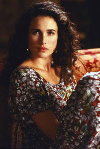 MacDowell, Andie [Hudson Hawk] Photo