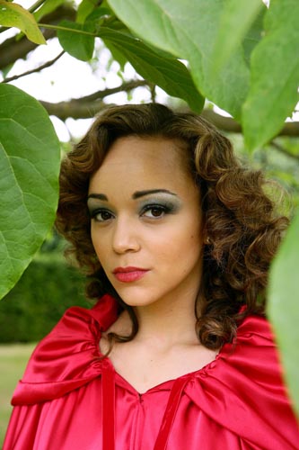 Madekwe, Ashley [Secret Diary of a Call Girl] Photo