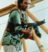 Malik, Art [True Lies]