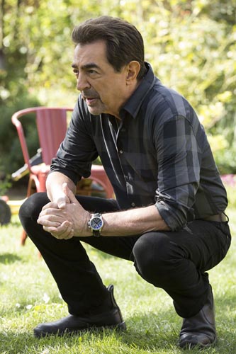Mantegna, Joe [Criminal Minds] Photo