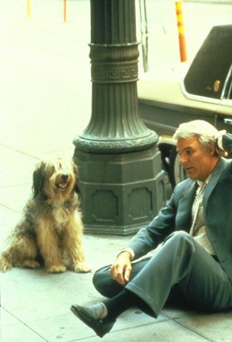 Martin, Steve [All of Me] Photo