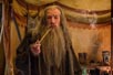 McKellen, Ian [The Hobbit: An Unexpected Journey]