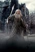 McKellen, Ian [The Hobbit: The Desolation of Smaug]