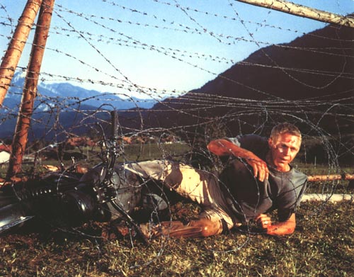 McQueen, Steve [The Great Escape] Photo