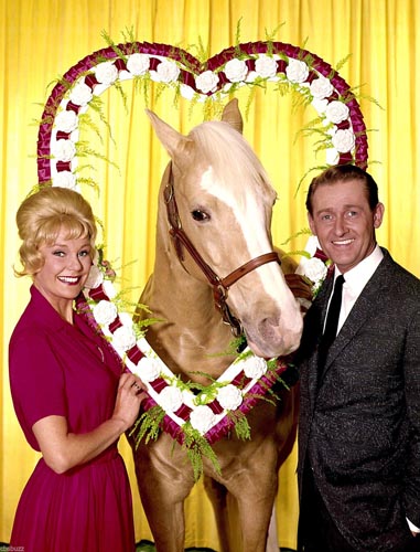Mister Ed [Cast] Photo