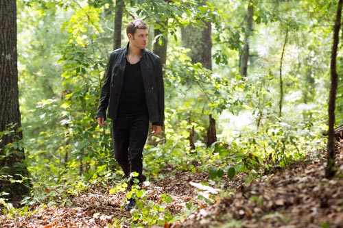 Morgan, Joseph [The Originals] Photo