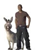 Murphy, Eddie [Shrek The Third]