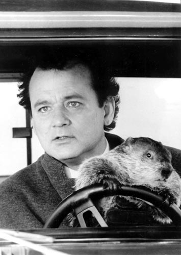 Murray, Bill [Groundhog Day] Photo