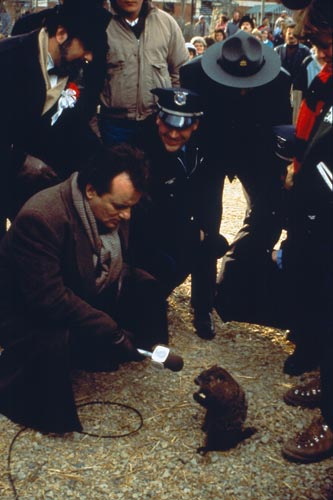 Murray, Bill [Groundhog Day] Photo