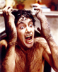 Naughton, David [An American Werewolf in London]