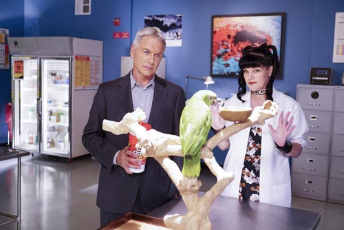 NCIS [Cast] Photo