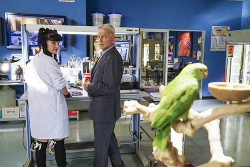 NCIS [Cast] Photo