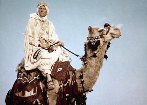 O'Toole, Peter [Lawrence of Arabia] Photo