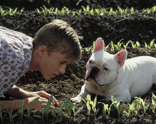 Osment, Haley Joel [Secondhand Lions] Photo