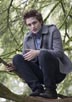 Pattinson, Robert [Twilight]