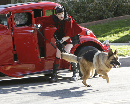 Perrette, Pauley [NCIS] Photo