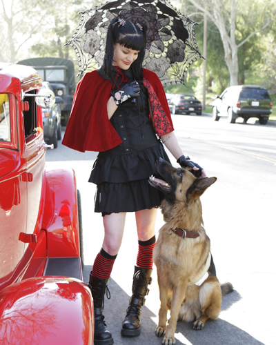 Perrette, Pauley [NCIS] Photo