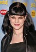 Perrette, Pauley [NCIS]