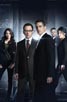 Person of Interest [Cast]