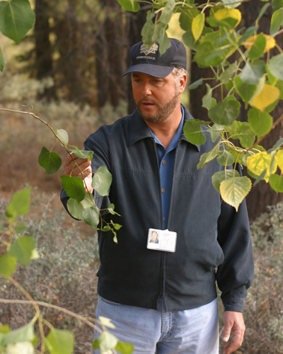 Petersen, William [CSI : Crime Scene Investigation] Photo