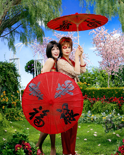 Pushing Daisies [Cast] Photo