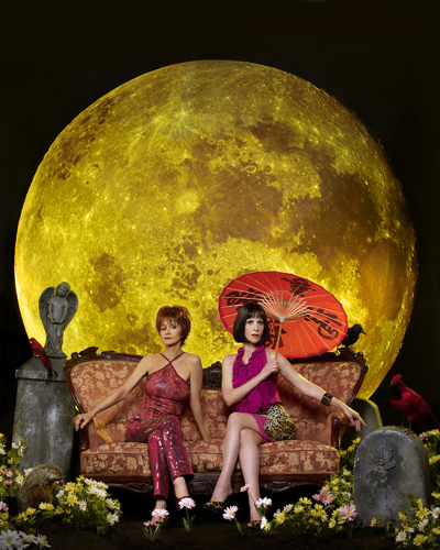 Pushing Daisies [Cast] Photo