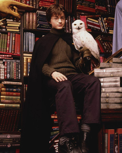 Radcliffe, Daniel [Harry Potter] Photo