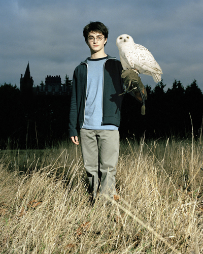 Radcliffe, Daniel [Harry Potter] Photo