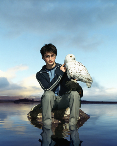 Radcliffe, Daniel [Harry Potter] Photo