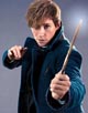 Redmayne, Eddie [Fantastic Beasts and Where to Find Them]