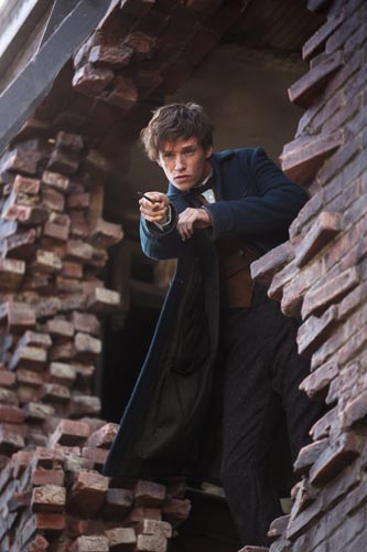 Redmayne, Eddie [Fantastic Beasts and Where to Find Them] Photo