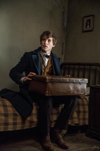 Redmayne, Eddie [Fantastic Beasts and Where to Find Them] Photo