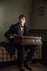 Redmayne, Eddie [Fantastic Beasts and Where to Find Them]