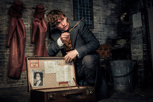 Redmayne, Eddie [Fantastic Beasts: The Crimes of Griswald] Photo