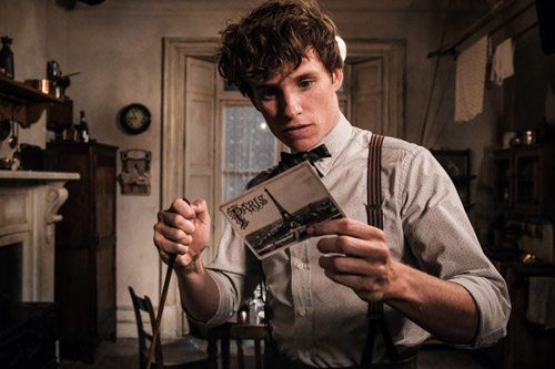 Redmayne, Eddie [Fantastic Beasts: The Crimes of Griswald] Photo