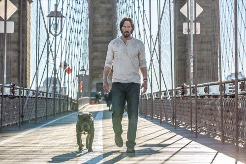Reeves, Keanu [John Wick 2] Photo