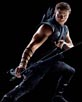 Renner, Jeremy [Avengers]