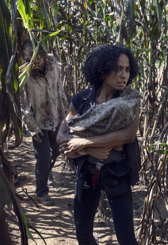 Ridloff, Lauren [The Walking Dead] Photo