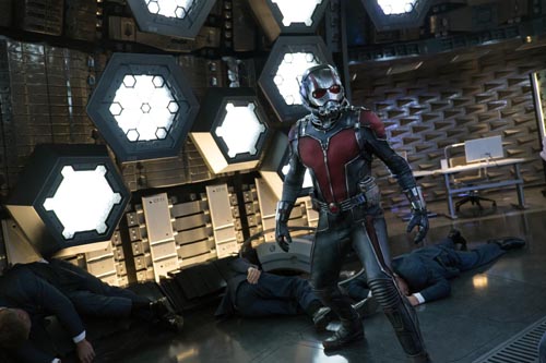 Rudd, Paul [Ant-Man] Photo