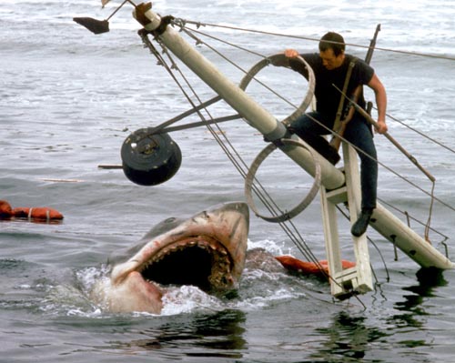 Scheider, Roy [Jaws] Photo