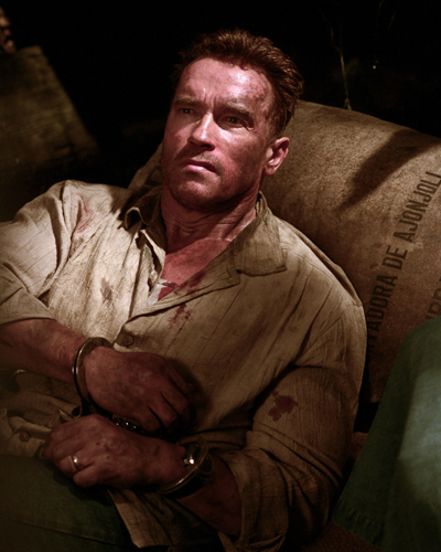 Schwarzenegger, Arnold [Collateral Damage] Photo
